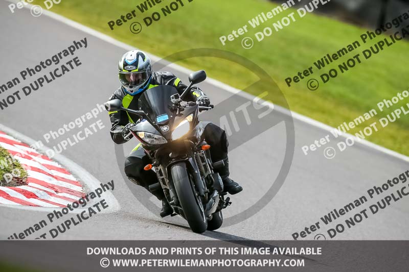 Oulton Park 21st March 2020;PJ Motorsport Photography 2020;anglesey;brands hatch;cadwell park;croft;donington park;enduro digital images;event digital images;eventdigitalimages;mallory;no limits;oulton park;peter wileman photography;racing digital images;silverstone;snetterton;trackday digital images;trackday photos;vmcc banbury run;welsh 2 day enduro